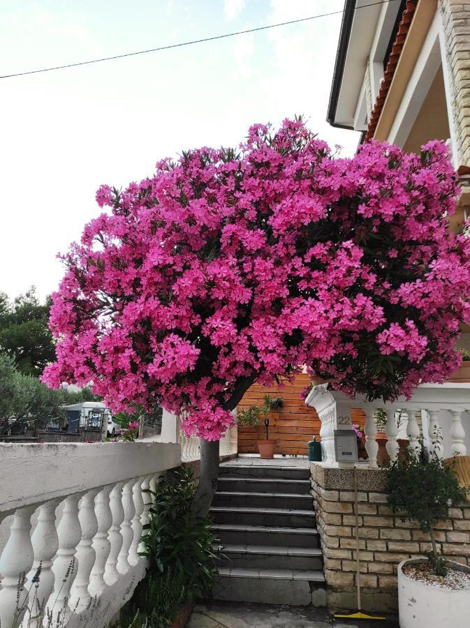 וודיצה Apartments And Rooms Bozena מראה חיצוני תמונה
